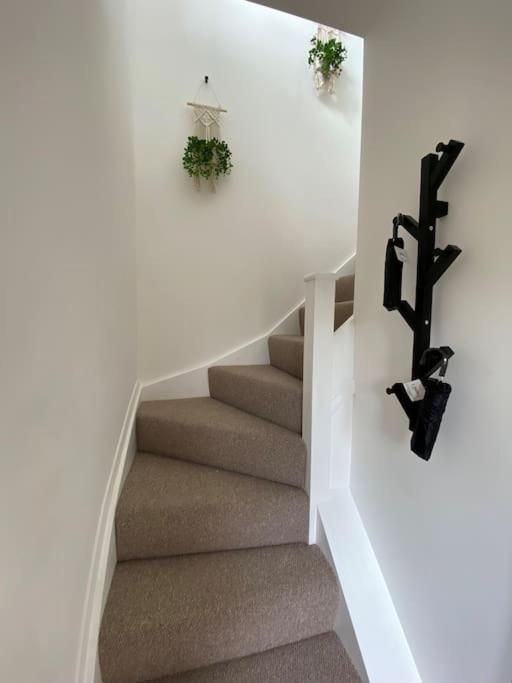Modern Annex On The Outskirts Of Bath And Bristo Saltford Esterno foto